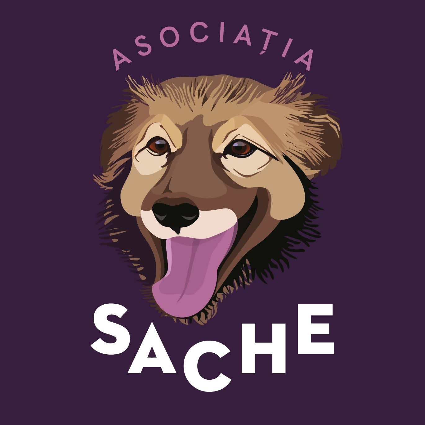 Asociatia Sache